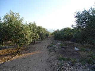 Wohngrundstück  2. Finca rustica en venta en bítem