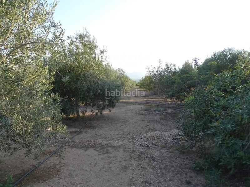 Foto 1bd3e3ee-c8f5-4179-a6e6-4b8b2ae84a48. Terreny residencial a Centre Tortosa