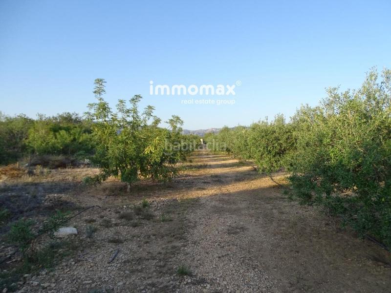 Foto 50b4448a-44a4-479d-a705-b3cff7e638d0. Terreny residencial a Centre Tortosa