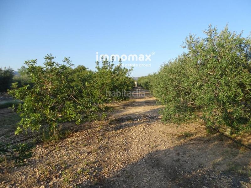 Foto 9ad4d4c3-29ff-4316-bfc7-f2c745798e9b. Terreny residencial a Centre Tortosa