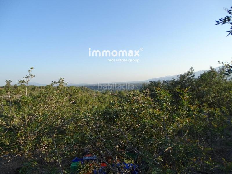 Foto e63441f5-4571-434d-a4d4-2e2bce187d48. Terreny residencial a Centre Tortosa