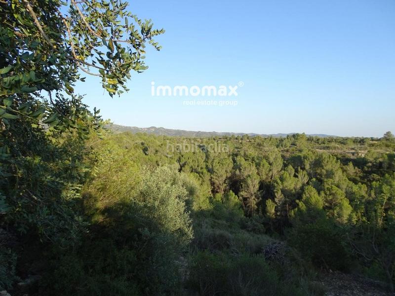 Foto ed446265-54cc-4029-9828-4210690443eb. Terreny residencial a Centre Tortosa