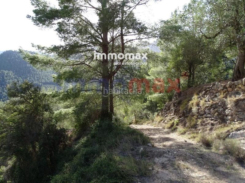 Foto 085c1c4c-f125-413d-bf17-d88e2ed022d3. Terreny residencial a Paüls