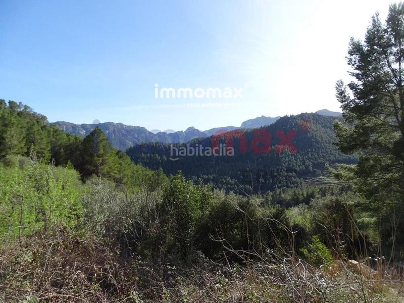 Foto 151a7b44-f362-46ea-8230-e36b89a82205. Terreny residencial a Paüls