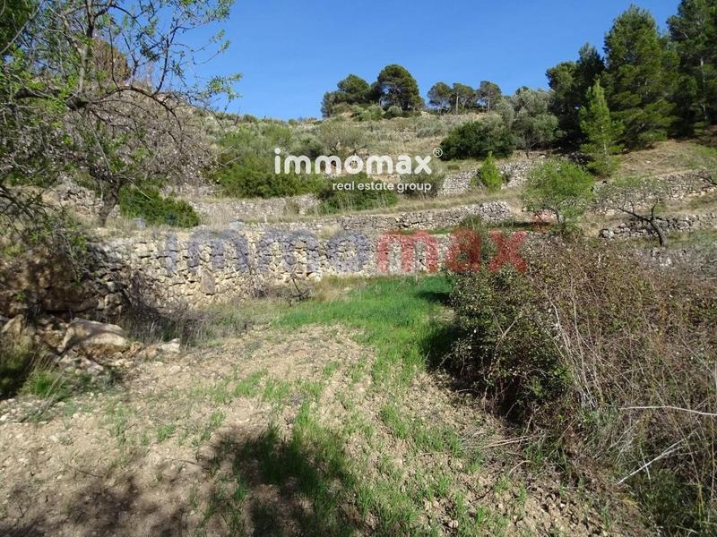 Foto 271beffd-66a4-456a-b93e-c6afbce4da7d. Terreny residencial a Paüls