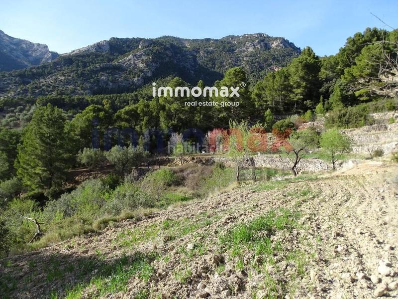 Foto 3a191489-76b3-43fc-8741-ca5fc1003a3f. Terreny residencial a Paüls