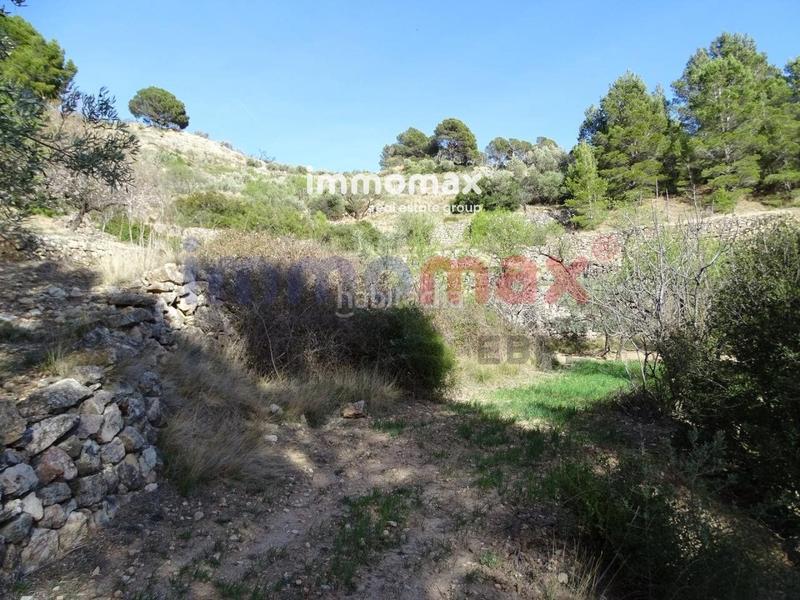 Foto 41b8af04-5c83-4e88-8e6f-1a3eaedd7d3d. Terreny residencial a Paüls