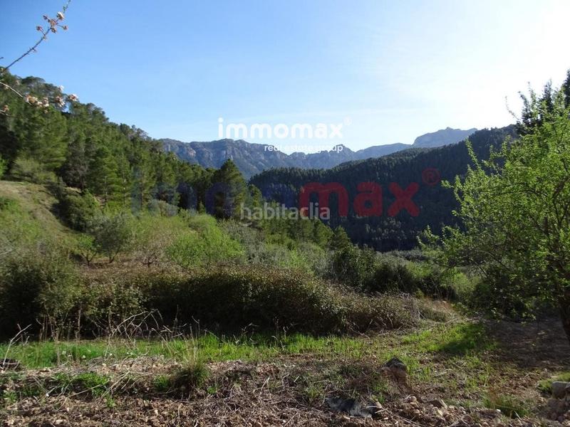 Foto 5bae31f4-7898-4bc9-855d-66987d14eaab. Terreny residencial a Paüls