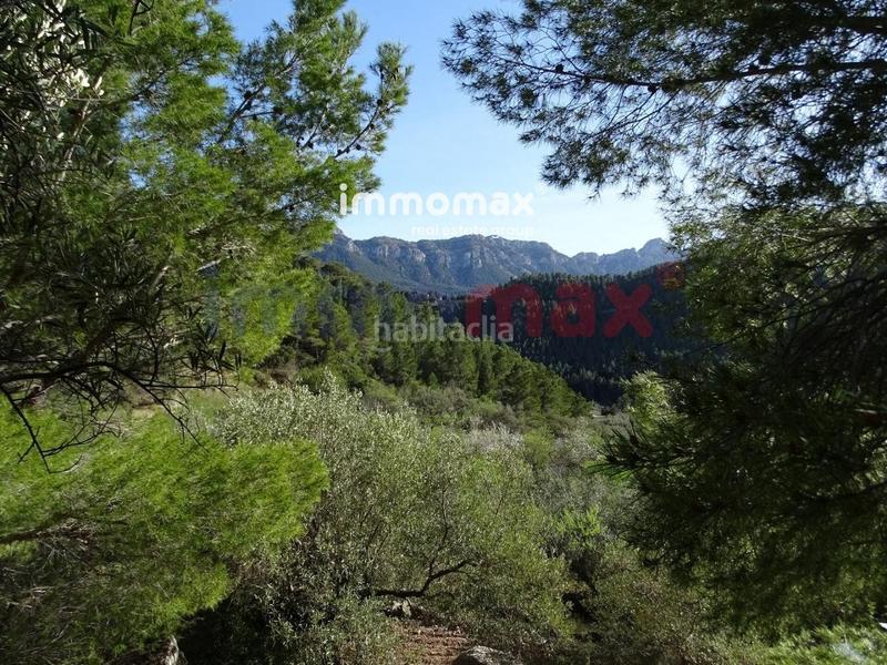 Foto 93ad4a02-0d69-4af7-ad6c-88788a37f6c1. Terreny residencial a Paüls