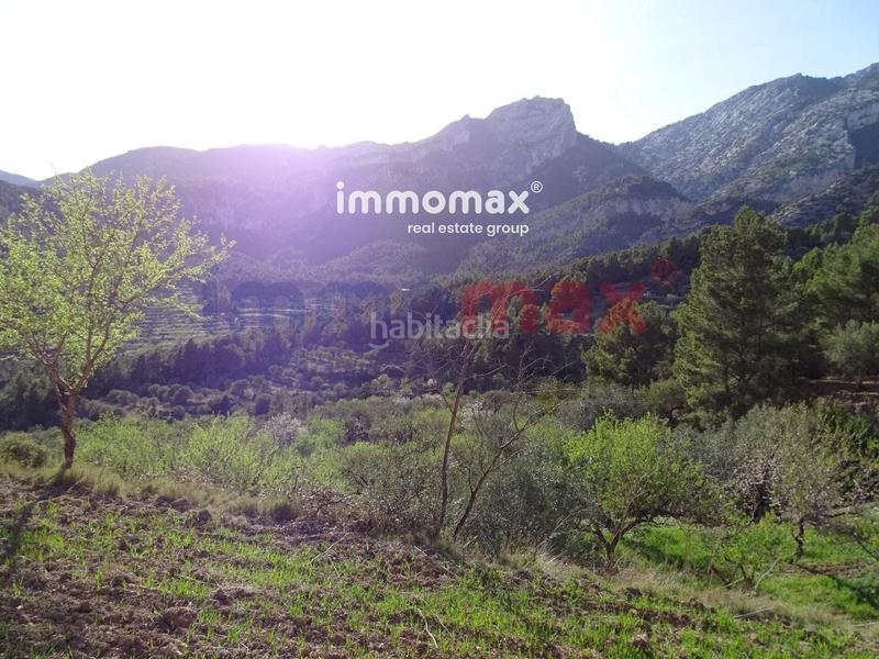 Foto 976518ee-4e4e-42b9-9d10-29c50f4a5476. Terreny residencial a Paüls