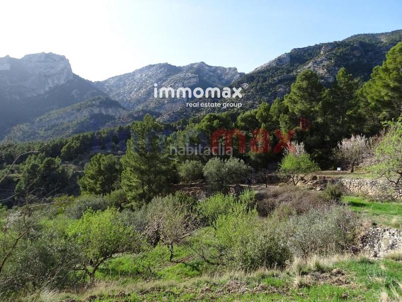 Foto a1da0726-1892-4452-a19f-476b1a037901. Terreny residencial a Paüls