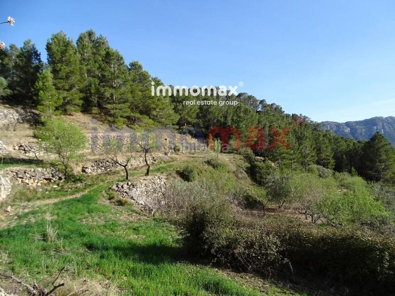 Foto ceb126eb-4132-4ebc-b4ac-e488bd94a6fb. Terreny residencial a Paüls