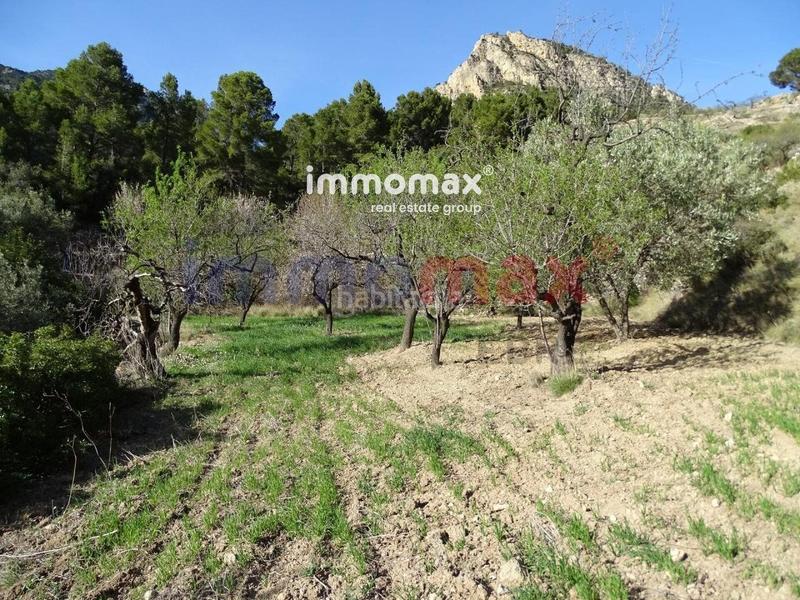 Foto d12c68f9-9b8a-4a88-a59b-041ccc0a630d. Terreny residencial a Paüls