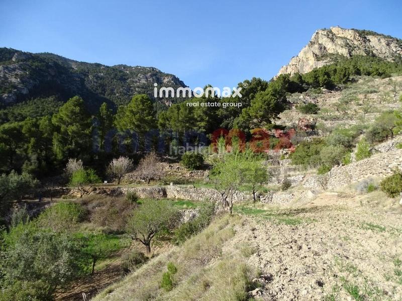 Foto d7a5350a-7ade-4070-99fb-85d5ddb002e0. Terreny residencial a Paüls