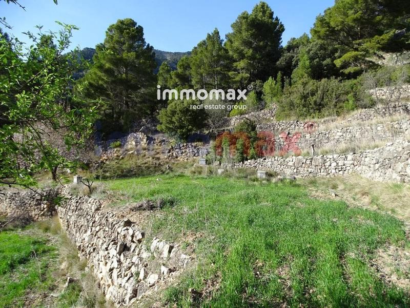 Foto ec1ea1d5-bd8a-4d78-bef5-af44566ad46e. Terreny residencial a Paüls