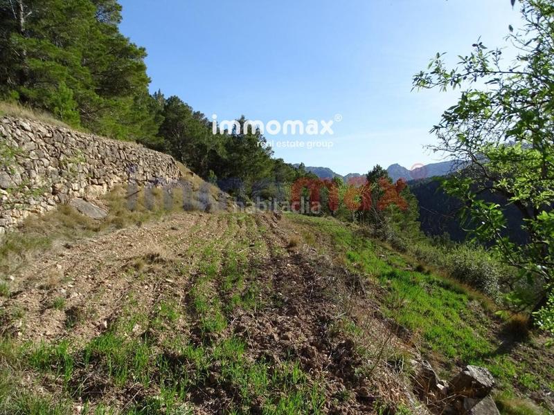 Foto f2f785de-f54f-453f-b22f-684a39b6b7df. Terreny residencial a Paüls