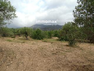Residential Plot  14. Finca rustica de olivos en venta en xerta