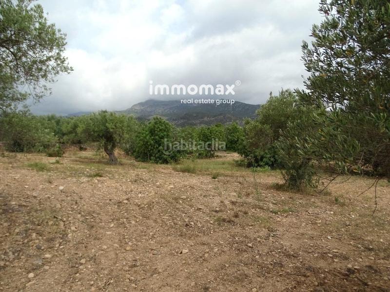 Foto 0d2a96b5-be13-409f-9d31-892f84f19446. Terreny residencial a Xerta