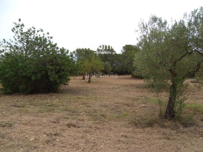 Foto 3e31d382-12c9-4ad2-9fc7-4c0cc7d769f6. Terreny residencial a Xerta