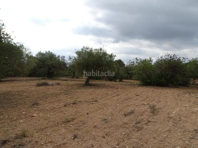 Foto ba4da2a8-1d14-4742-80d0-3cd2f4f4f37e. Terreny residencial a Xerta