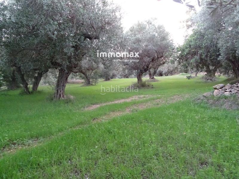 Foto 057434e4-55f7-4dc8-91f9-317a78317c4e. Residential plot in Xerta