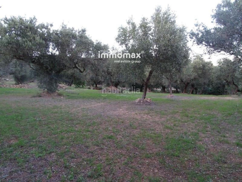 Foto 218bd58b-15a8-43b9-a14c-9f777fb804b1. Residential plot in Xerta