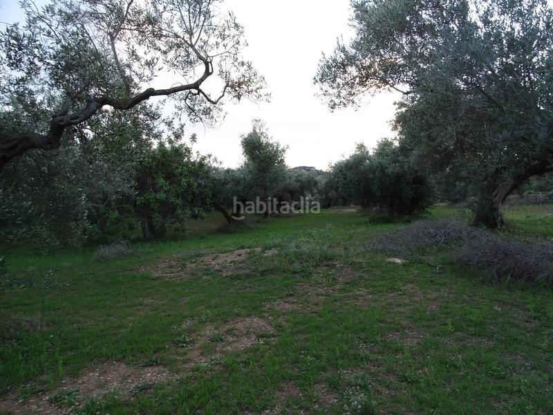 Foto 4a38e50f-ae7a-4ab3-a27c-2521a35f3a07. Residential plot in Xerta