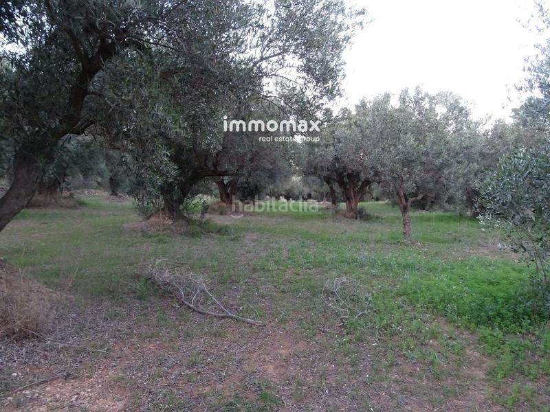 Foto 57a68a89-82c7-43d5-85a2-62871e236b58. Residential plot in Xerta