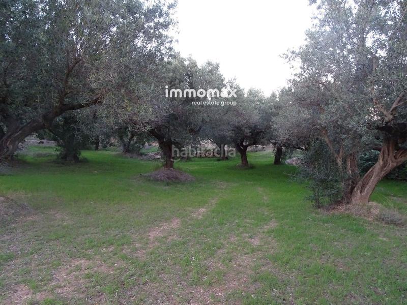 Foto 81e2595e-b742-4152-b673-11c68c484723. Residential plot in Xerta