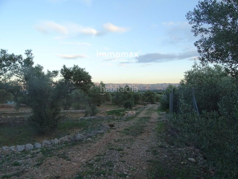 Foto 86f6ece4-3627-4a66-add2-ef9093caf9f7. Residential plot in Xerta