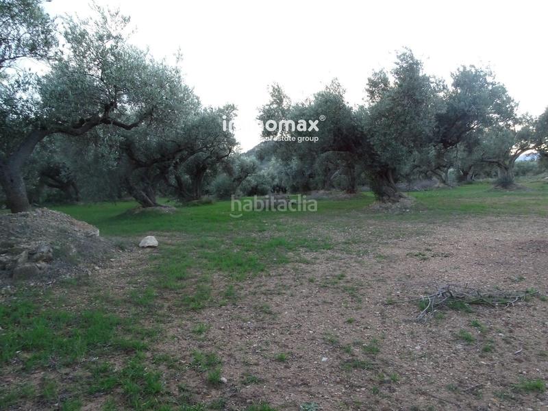 Foto b8748e60-d128-4dd0-acf9-a0659c7dbde9. Residential plot in Xerta
