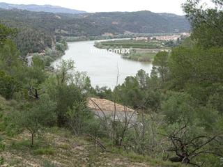 Rural plot  18. Finca rústica en venta en benifallet