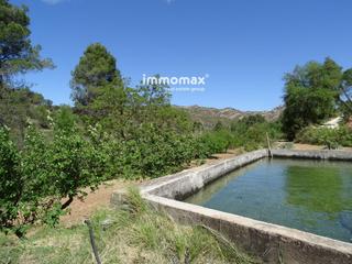 Terreny residencial  32. Finca rústica en venta en horta de san juan
