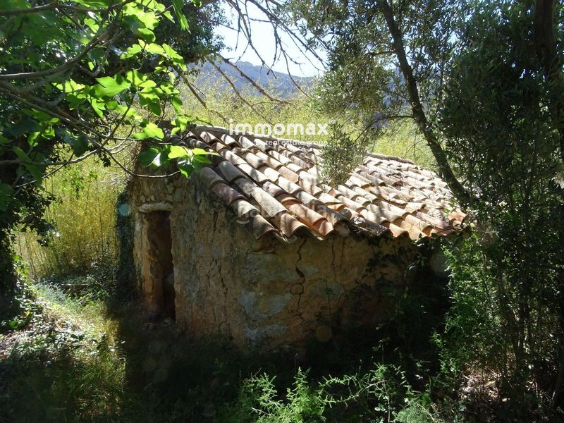 Foto 117307a7-1dd8-447c-b9ad-7fcf65b5d19a. Terreno residencial finca rústica en venta en horta de san juan con agua y 2 balsas en Horta de Sant Joan