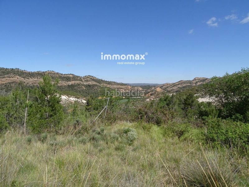 Foto 49f46a2a-a417-4ac3-a12a-c94b8eedf75a. Terreno residencial finca rústica en venta en horta de san juan con agua y 2 balsas en Horta de Sant Joan