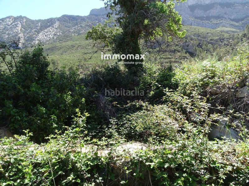 Foto 797995fd-0d7b-4275-b3de-6b6c016300d9. Terreno residencial finca rústica en venta en horta de san juan con agua y 2 balsas en Horta de Sant Joan