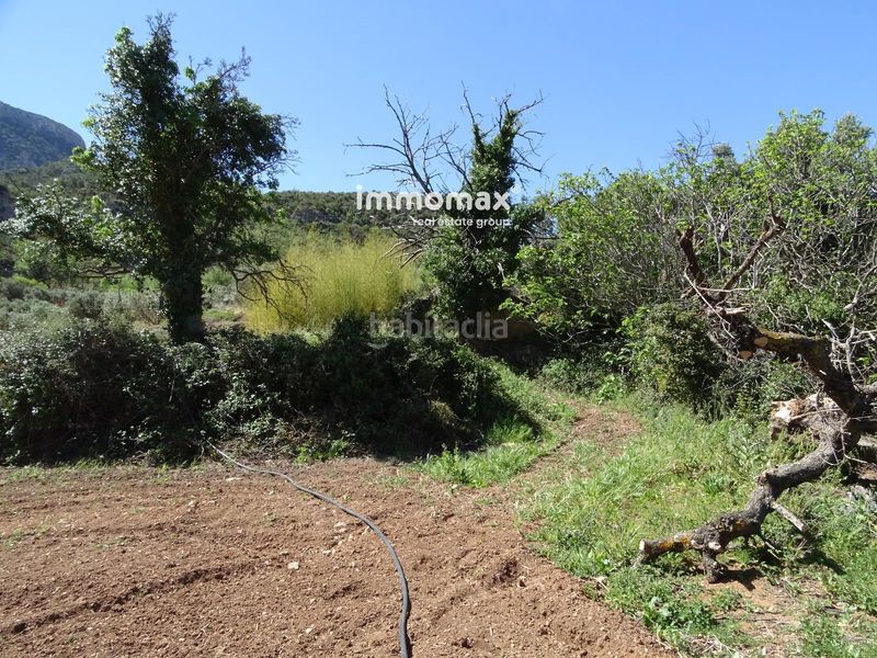 Foto 97e3dbc4-d259-465b-947c-aeed9e1caa83. Terreno residencial finca rústica en venta en horta de san juan con agua y 2 balsas en Horta de Sant Joan