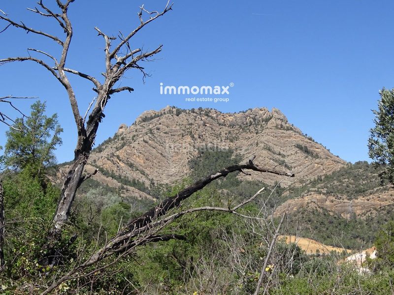 Foto f9929a1e-ce60-48e5-ad93-e2a975d8ed42. Terreno residencial finca rústica en venta en horta de san juan con agua y 2 balsas en Horta de Sant Joan