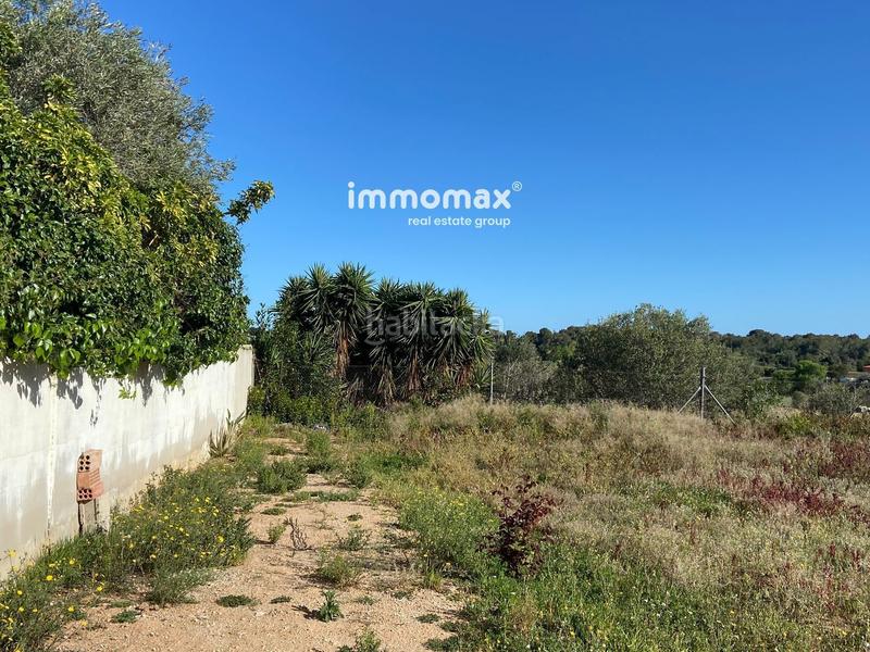 Foto a44dcde5-98d1-4038-9a9c-00b95ae4d1fd. Finca rústica terreno en venta oportunidad única! en Vilanova i la Geltrú