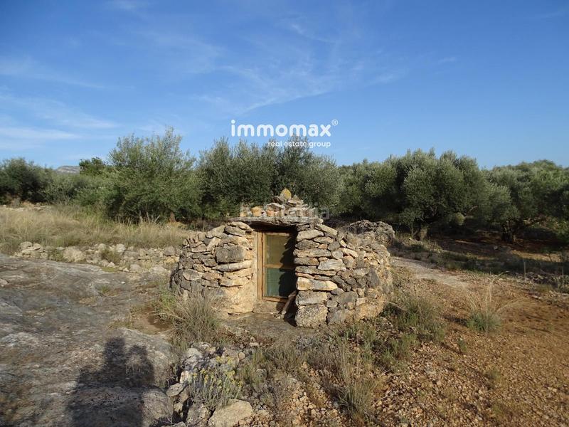 Foto 0456a3e6-7a38-43c3-bad7-82514fb5db2f. Terreny residencial a Tivenys