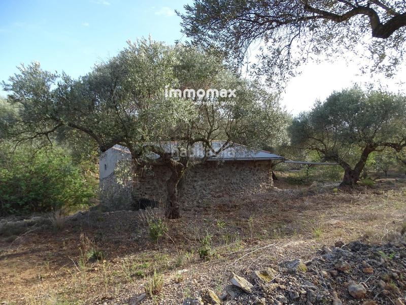 Foto 0e2a1c76-a3f6-432d-b974-5a8ec2d84a1a. Terreny residencial a Tivenys