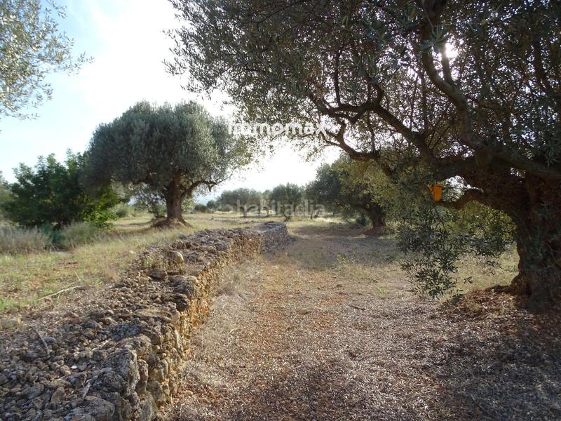 Foto 2dbae43c-0107-483d-ad25-08668eea5d34. Terreny residencial a Tivenys