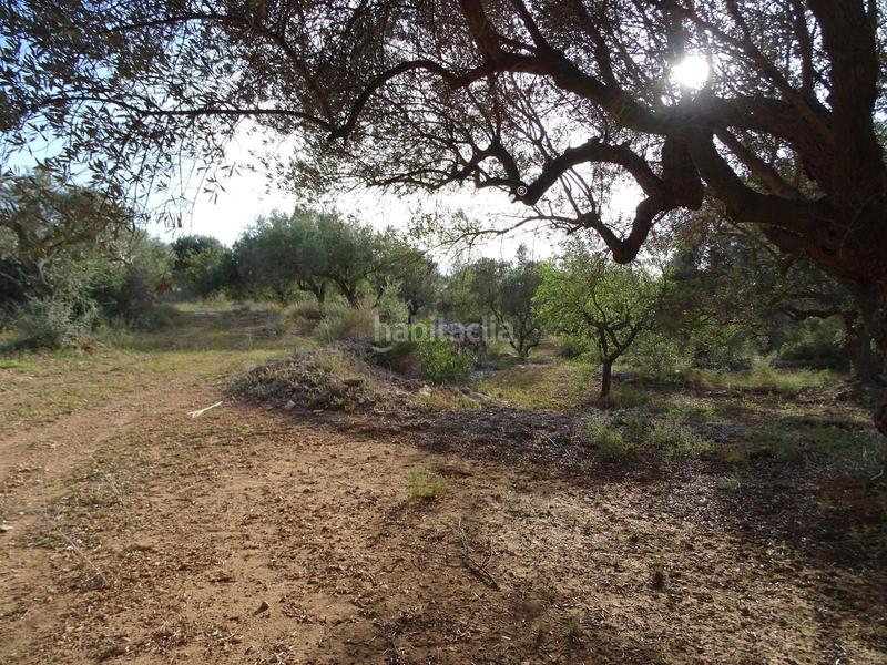 Foto 87202c9f-a81a-4079-8f06-aa75f5c64c9c. Terreny residencial a Tivenys