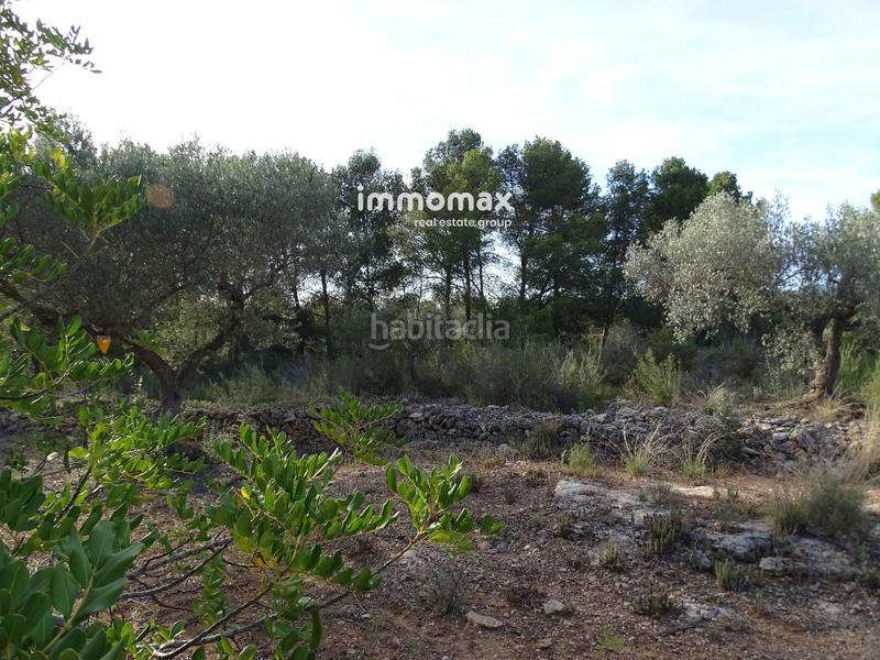 Foto 9db427e0-c353-47ab-b141-2dbe0c2abbc5. Terreny residencial a Tivenys