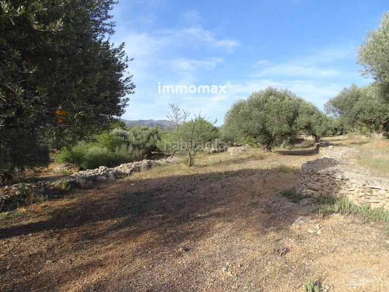 Foto a1417d68-923c-42d0-b38a-b0a84a142ce8. Terreny residencial a Tivenys