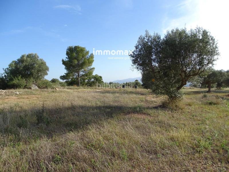 Foto ab05c816-7dda-41a7-8c46-2a94e40fa59c. Terreny residencial a Tivenys