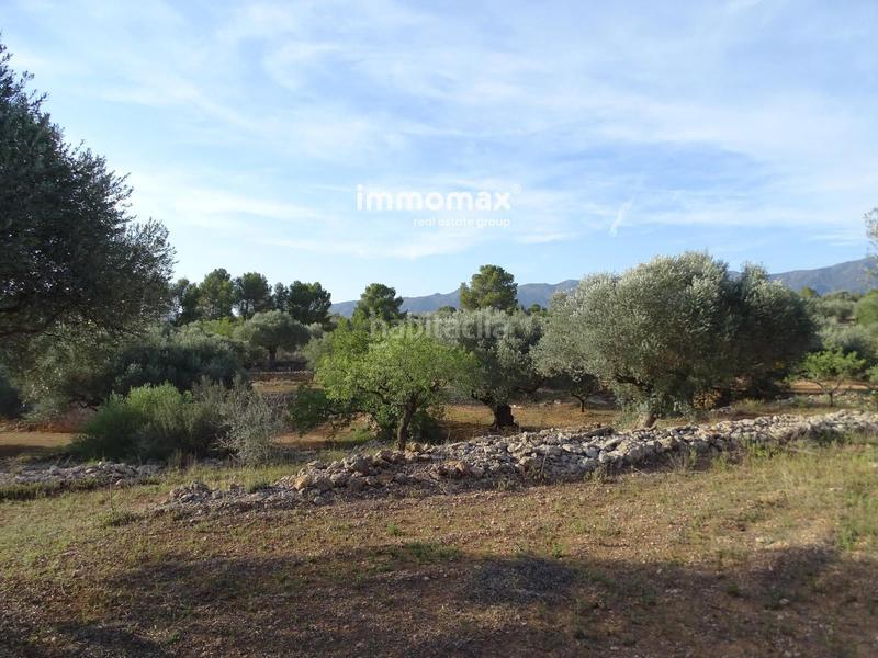 Foto f58ad6f2-fdba-42d0-a793-8954d637ba9a. Terreny residencial a Tivenys