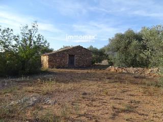 Residential Plot  2. Finca rústica con caseta de piedra en venta en bitem