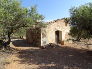 Residential Plot  13. Finca rústica en venta en xerta
