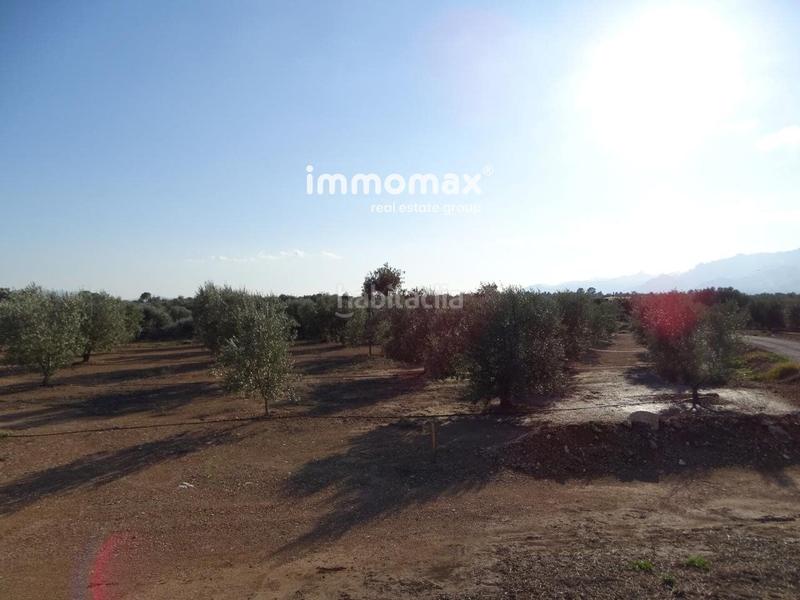 Foto 0431fa8b-2676-486d-993d-a57161aa9853. Finca rústica finca rustica en venta en Aldover